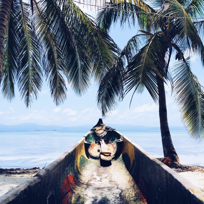 palms-beach-boat