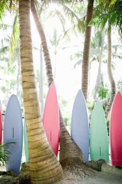 surfboards palms