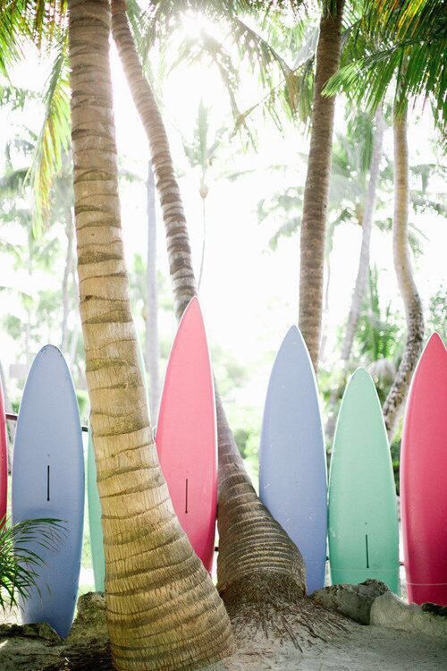 surfboards-palms